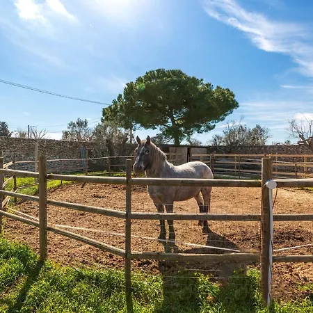 Padangi By Perle Di Puglia Villa
