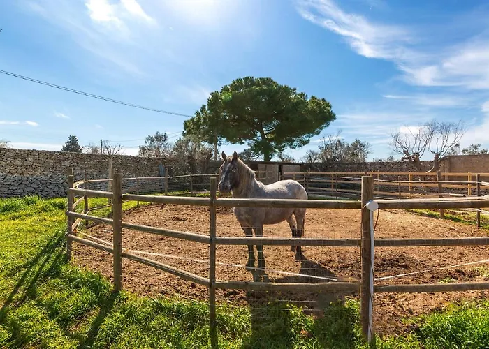 Padangi By Perle Di Puglia Villa